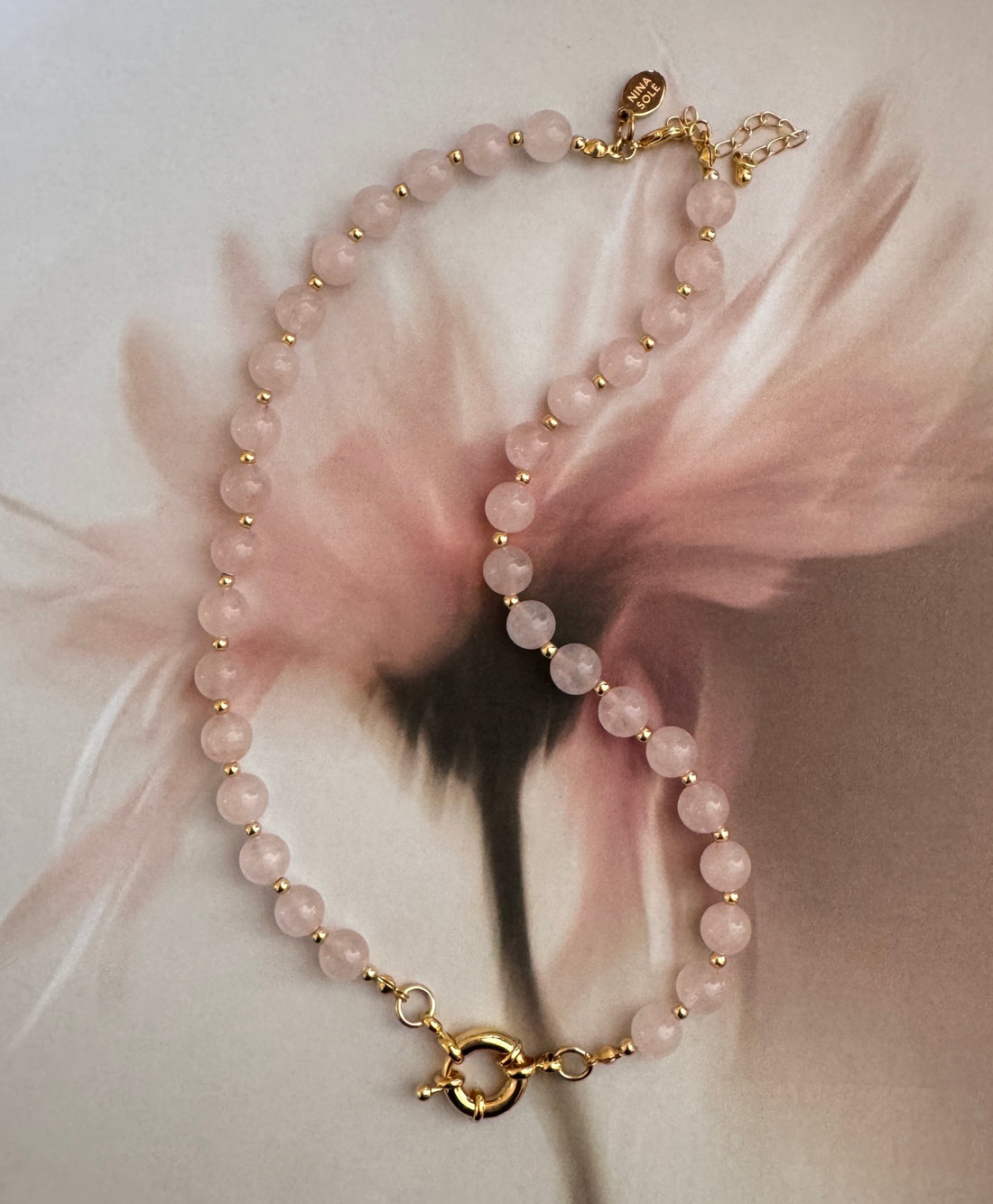 Alma Rosa